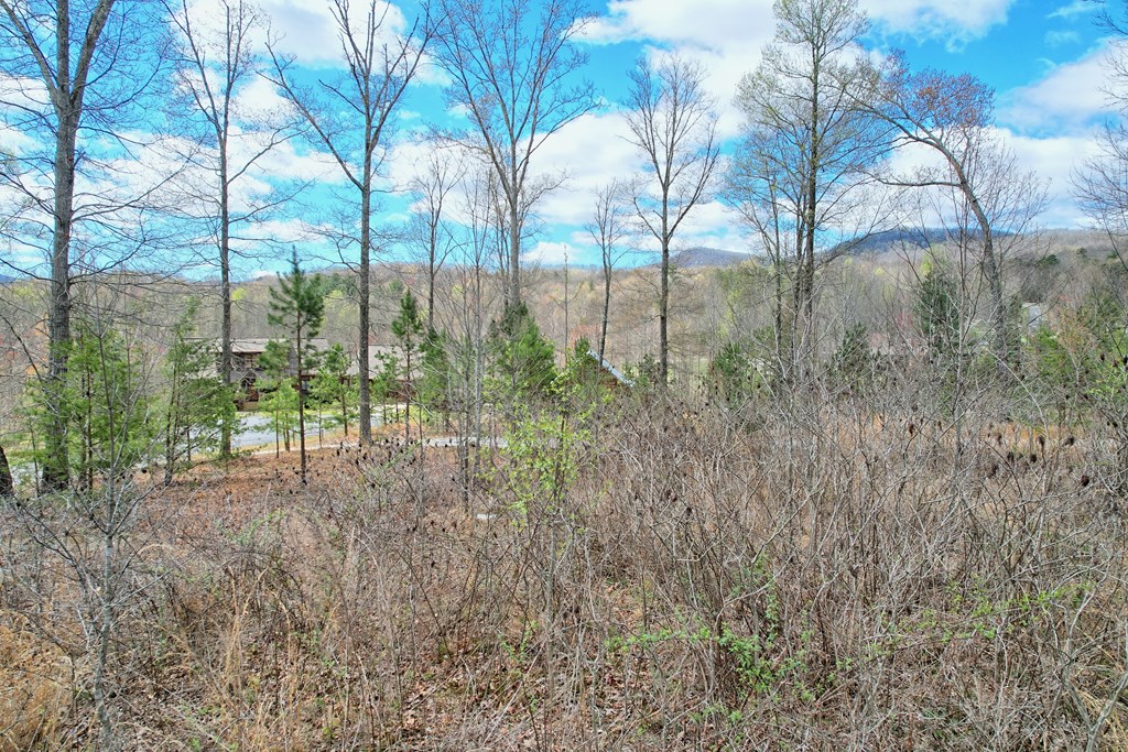 30 Sharp Top Settlement Blairsville, GA 30512 - Photo 14 of 24