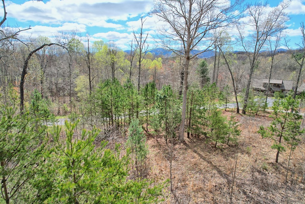 30 Sharp Top Settlement Blairsville, GA 30512 - Photo 15 of 24