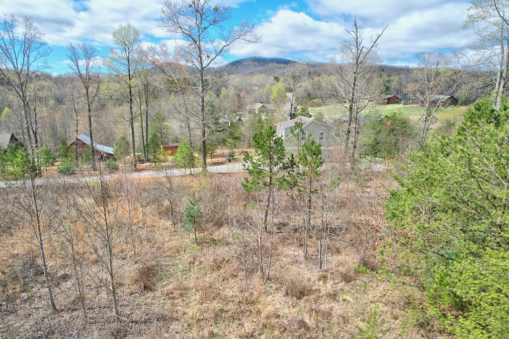 30 Sharp Top Settlement Blairsville, GA 30512 - Photo 16 of 24