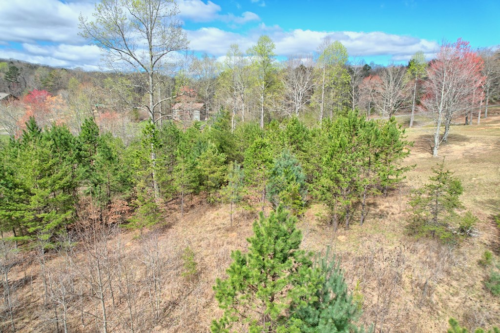 30 Sharp Top Settlement Blairsville, GA 30512 - Photo 17 of 24