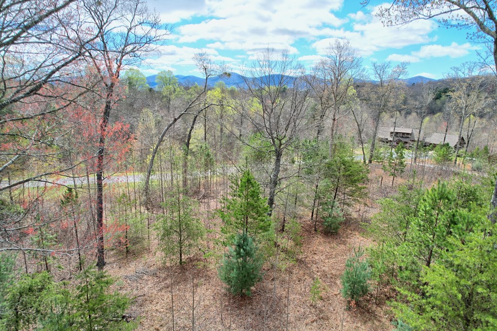 30 Sharp Top Settlement Blairsville, GA 30512 - Photo 18 of 24