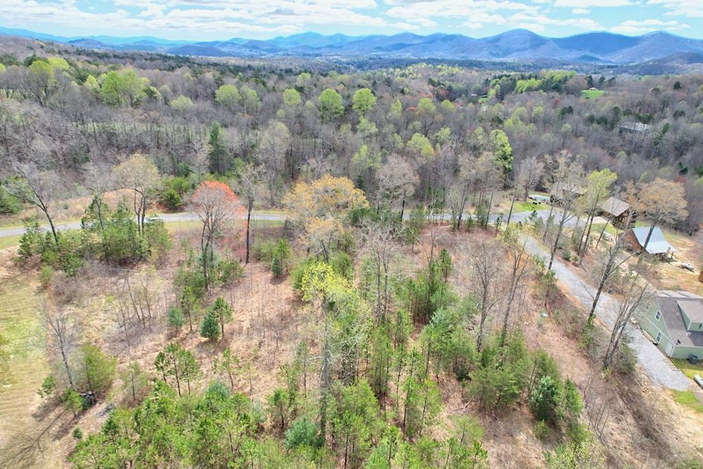 30 Sharp Top Settlement Blairsville, GA 30512 - Photo 19 of 24