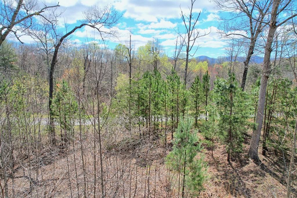 30 Sharp Top Settlement Blairsville, GA 30512 - Photo 3 of 24