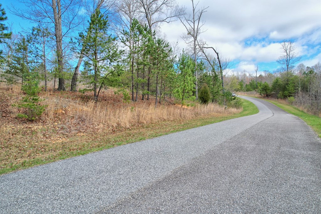 30 Sharp Top Settlement Blairsville, GA 30512 - Photo 8 of 24