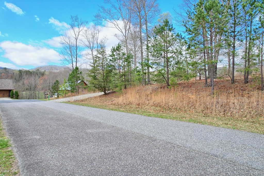 30 Sharp Top Settlement Blairsville, GA 30512 - Photo 9 of 24