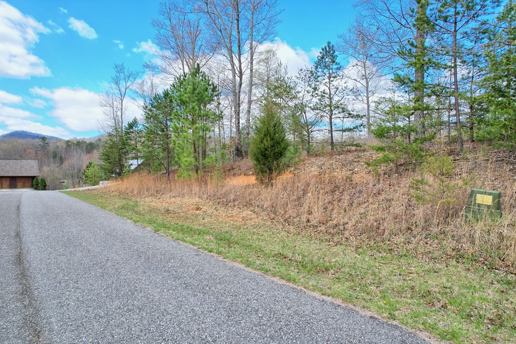 30 Sharp Top Settlement Blairsville, GA 30512 - Photo 10 of 24