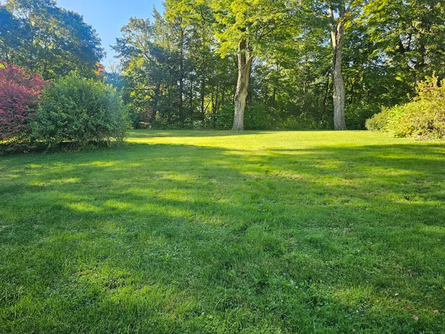 a view of a park with trees in the background