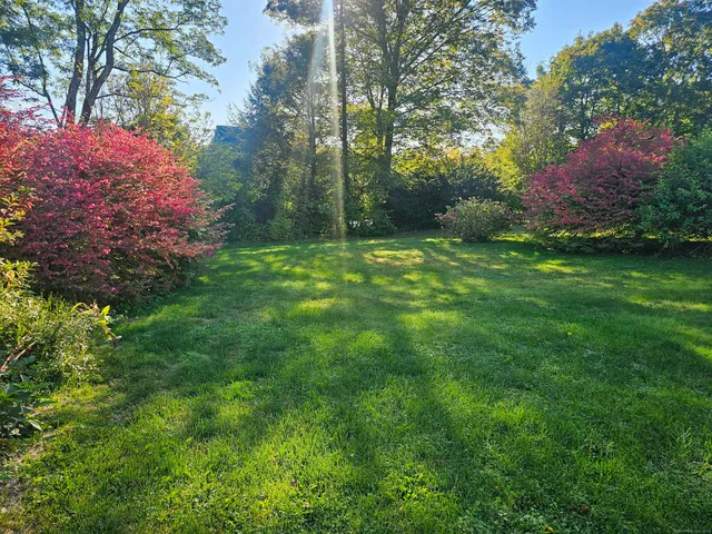 a backyard of a house with lots of green space