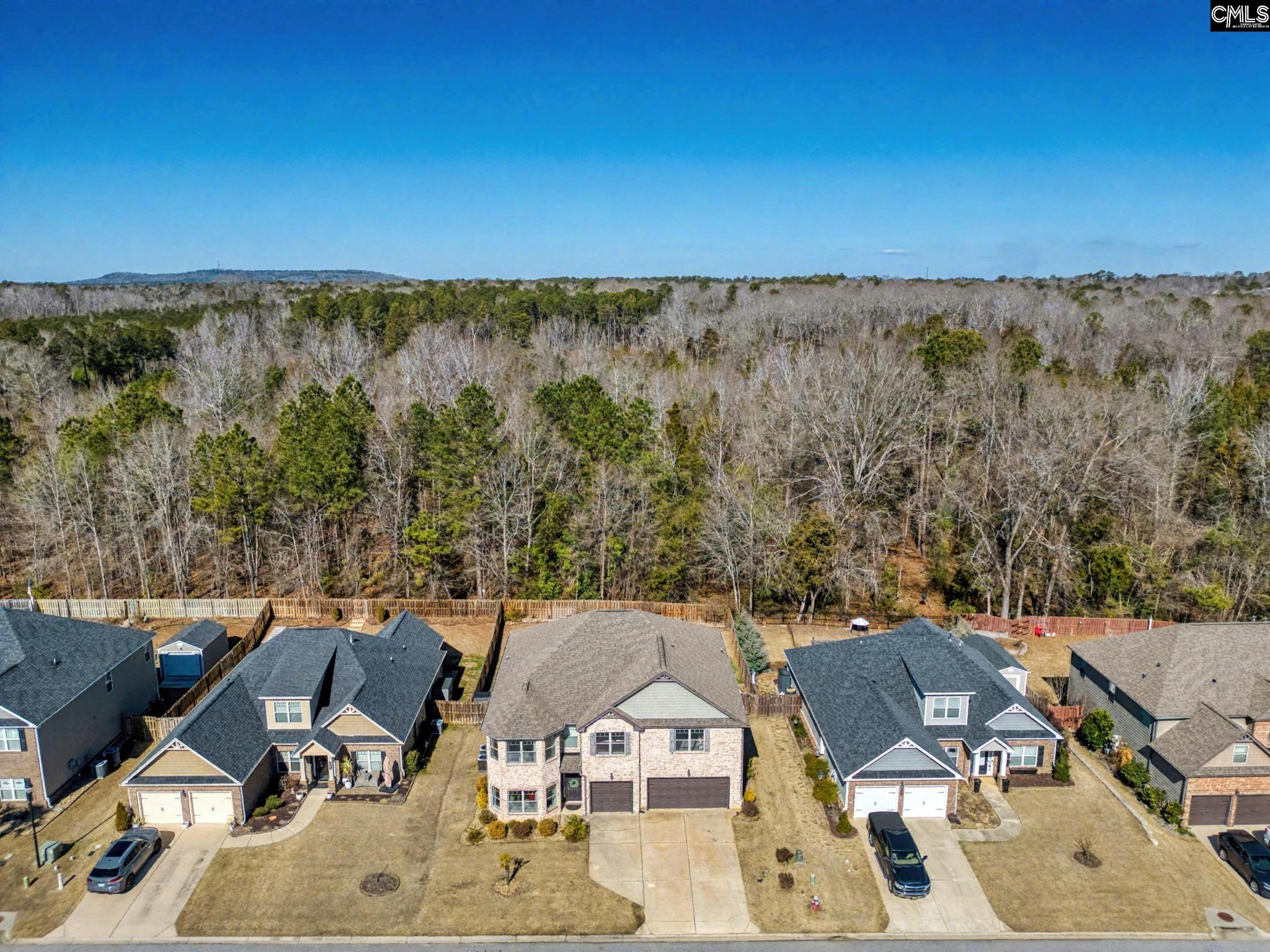 303 Lever Bottom Court Chapin, SC 29036 - Photo 3 of 45