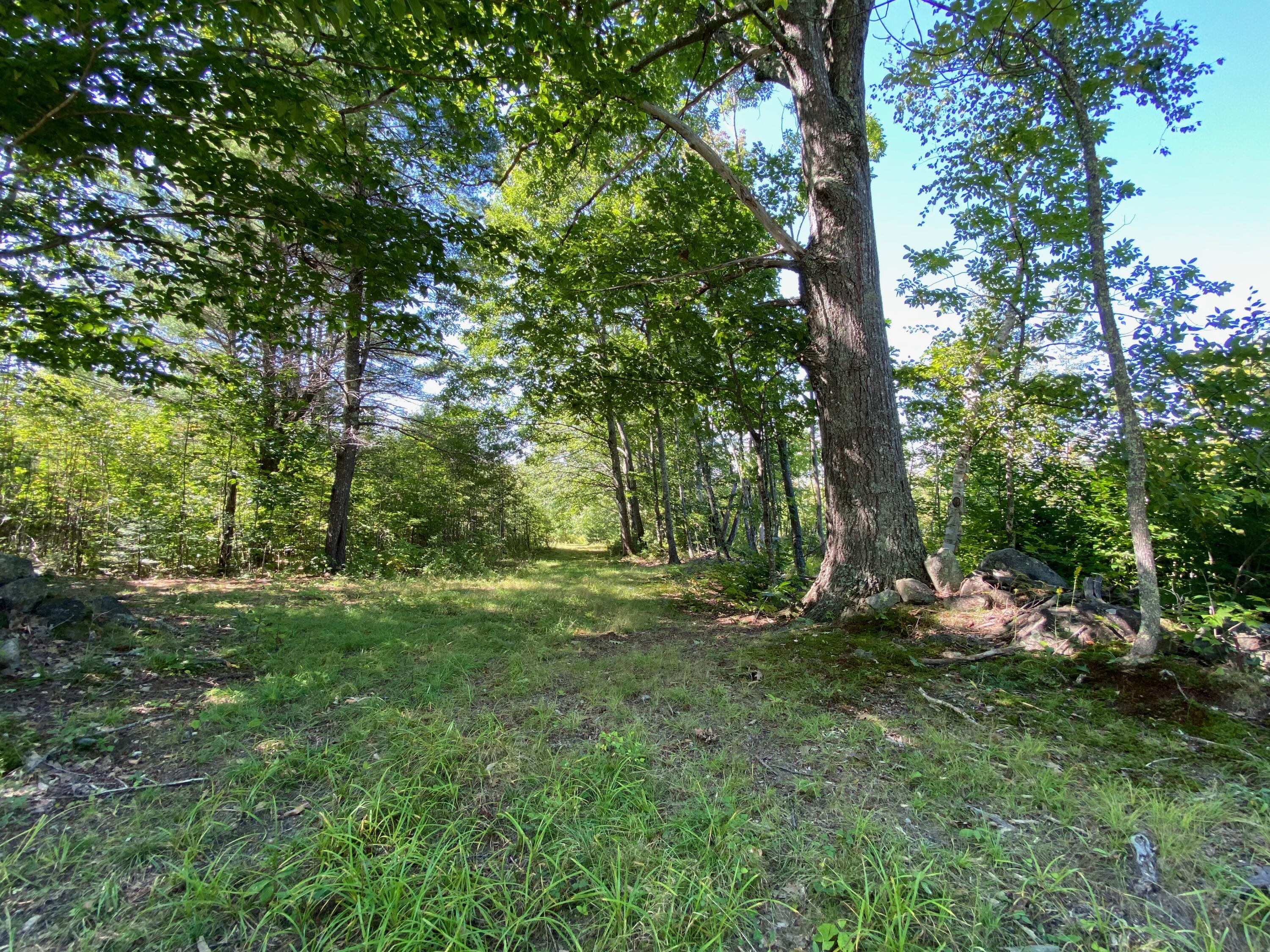 203 North Taylor Road Mount Vernon, ME 04352 - Photo 55 of 98 TRAIL
