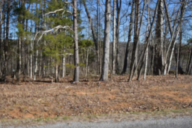 $98,000 | 21 Laurel Lake Drive, Monteagle, TN 37356