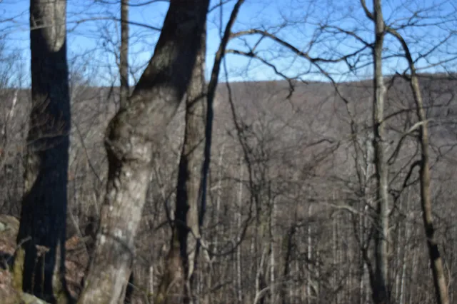 $98,000 | 21 Laurel Lake Drive, Monteagle, TN 37356