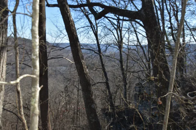 $98,000 | 21 Laurel Lake Drive, Monteagle, TN 37356