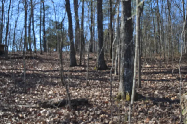 $98,000 | 21 Laurel Lake Drive, Monteagle, TN 37356