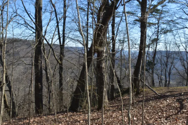 $98,000 | 21 Laurel Lake Drive, Monteagle, TN 37356