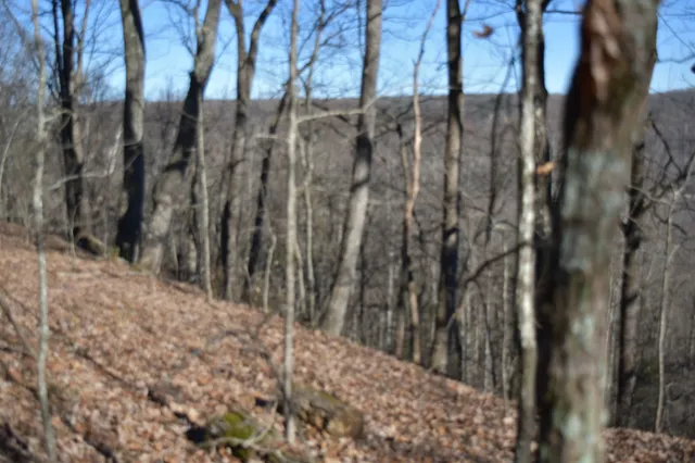 $98,000 | 21 Laurel Lake Drive, Monteagle, TN 37356