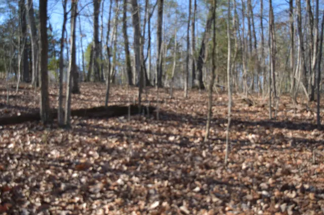 $98,000 | 21 Laurel Lake Drive, Monteagle, TN 37356