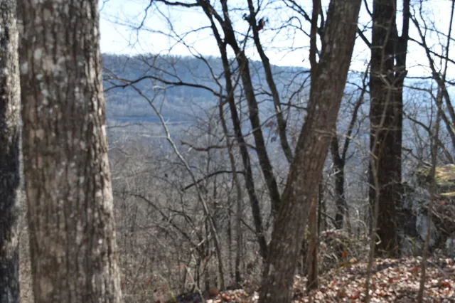 $98,000 | 21 Laurel Lake Drive, Monteagle, TN 37356