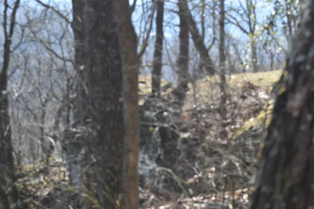 $98,000 | 21 Laurel Lake Drive, Monteagle, TN 37356