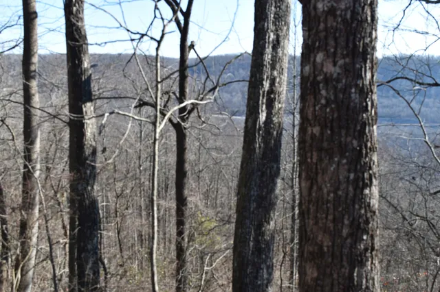 $98,000 | 21 Laurel Lake Drive, Monteagle, TN 37356