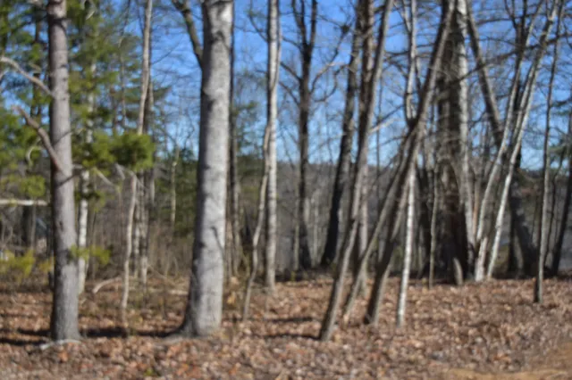 $98,000 | 21 Laurel Lake Drive, Monteagle, TN 37356