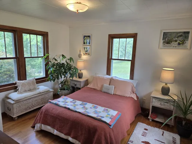a view of a dry yard with a large tree