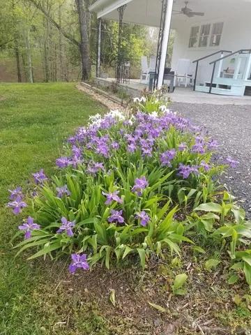 $799,900 | 919 John Burch Road West, Dunlap, TN 37327