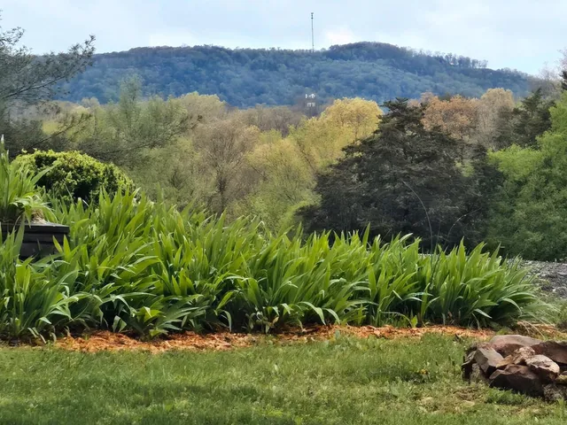 $799,900 | 919 John Burch Road West, Dunlap, TN 37327