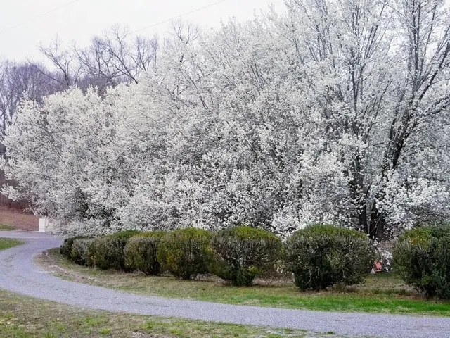 $799,900 | 919 John Burch Road West, Dunlap, TN 37327