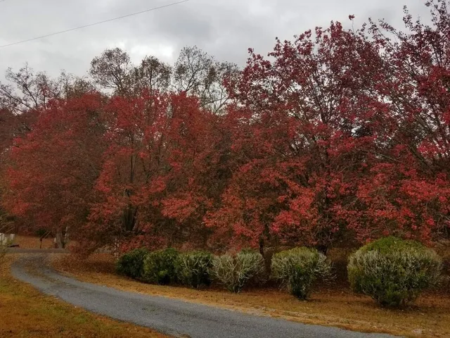 $799,900 | 919 John Burch Road West, Dunlap, TN 37327