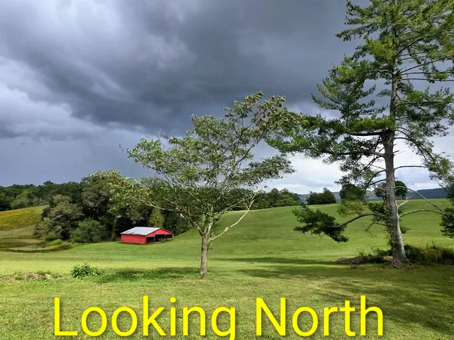 a view of a flower in a garden