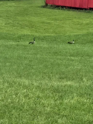 $799,900 | 919 John Burch Road West, Dunlap, TN 37327