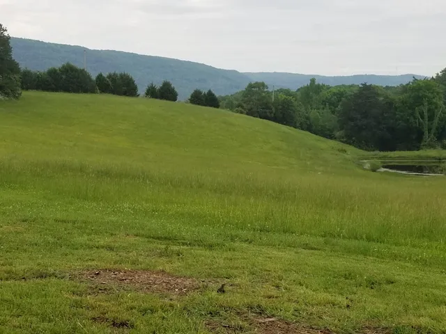 $799,900 | 919 John Burch Road West, Dunlap, TN 37327