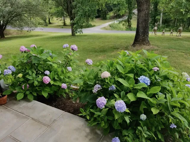 a front view of a house with an outdoor seating