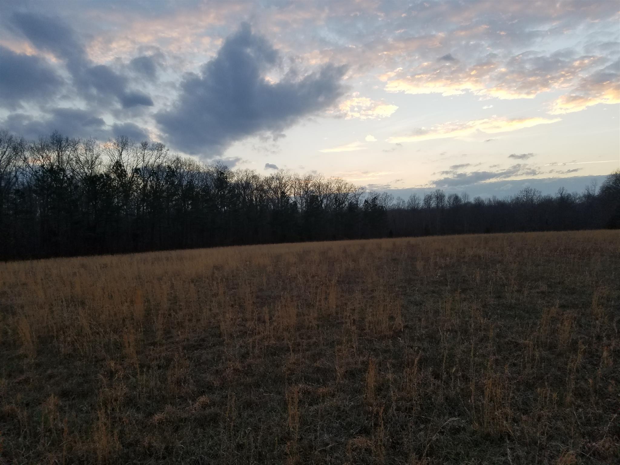 227 Rock Road Morrison, TN 37357 - Photo 4 of 5 a view of a field of grass and trees