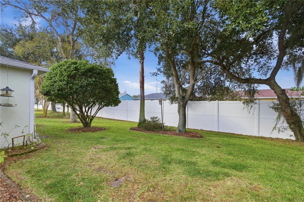 15771 Southwest 13th Circle Ocala, FL 34473 - Photo 23 of 29 a view of a yard with a tree