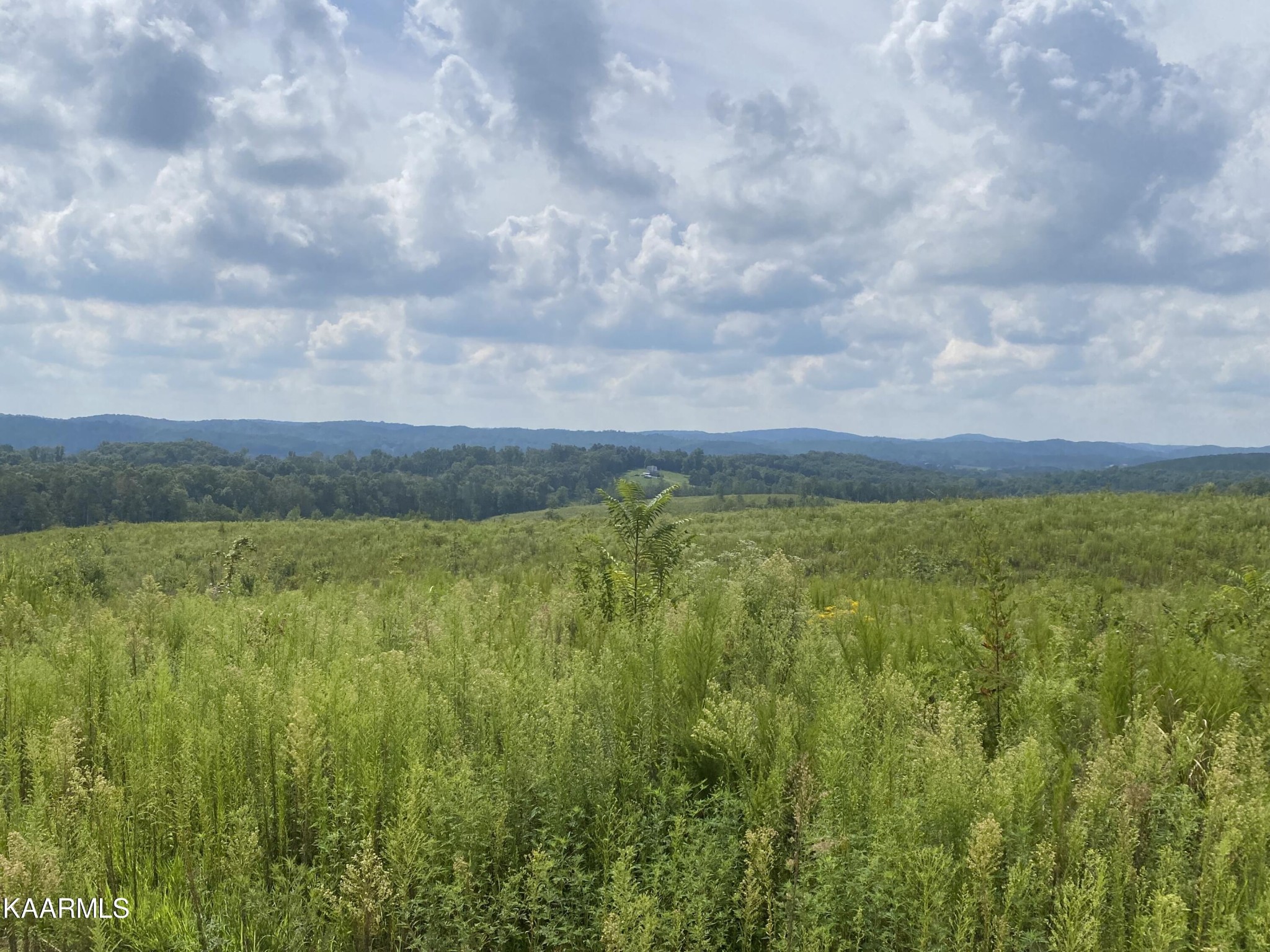 802 Arwine Road Decatur, TN 37322 - Photo 1 of 10 a view of an outdoor space and mountains