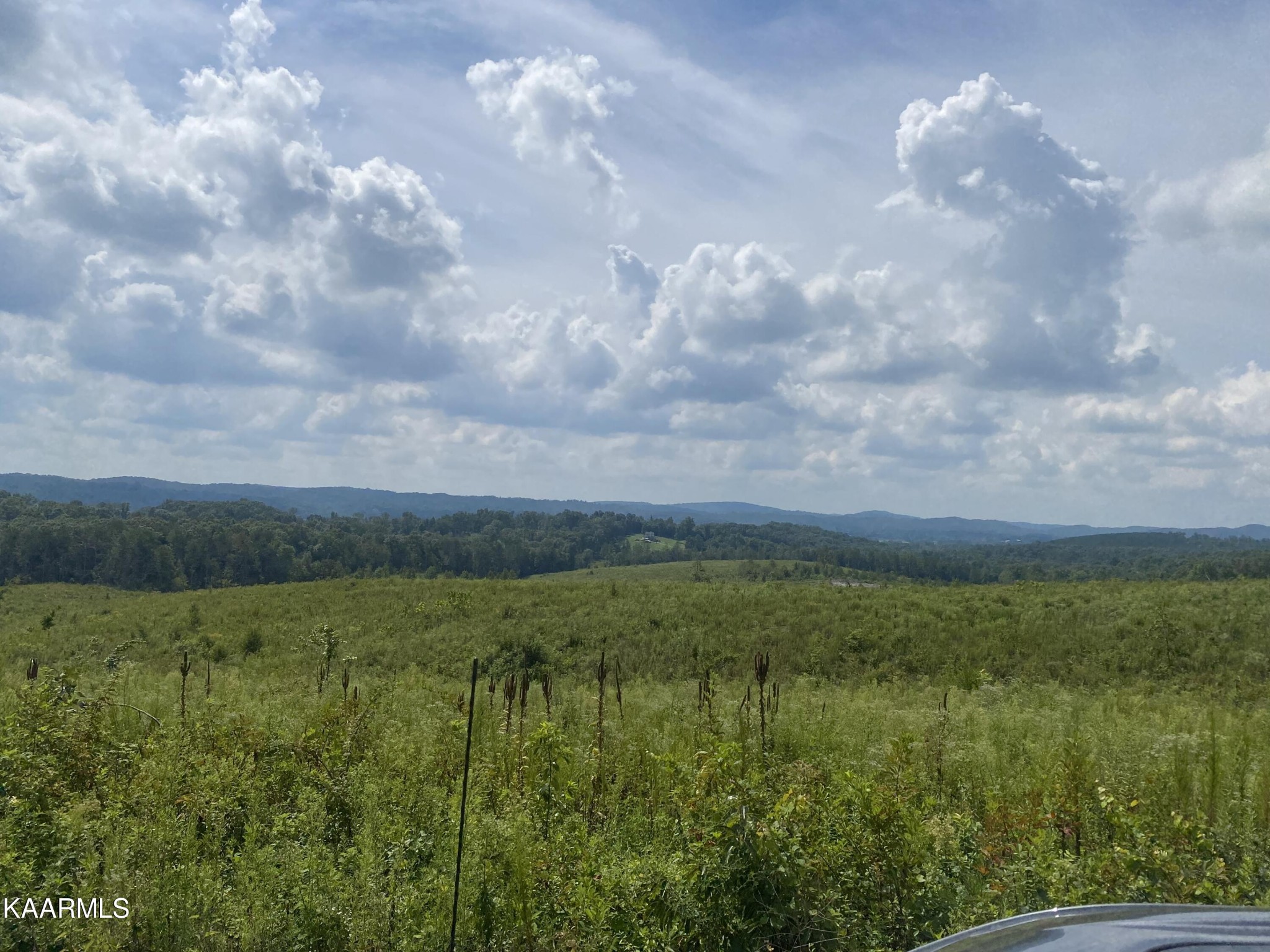 802 Arwine Road Decatur, TN 37322 - Photo 4 of 10 a view of a field of grass and trees