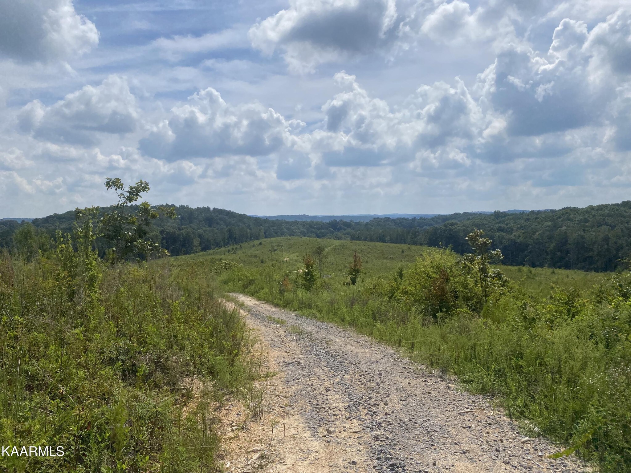 802 Arwine Road Decatur, TN 37322 - Photo 5 of 10 a view of lake with green space