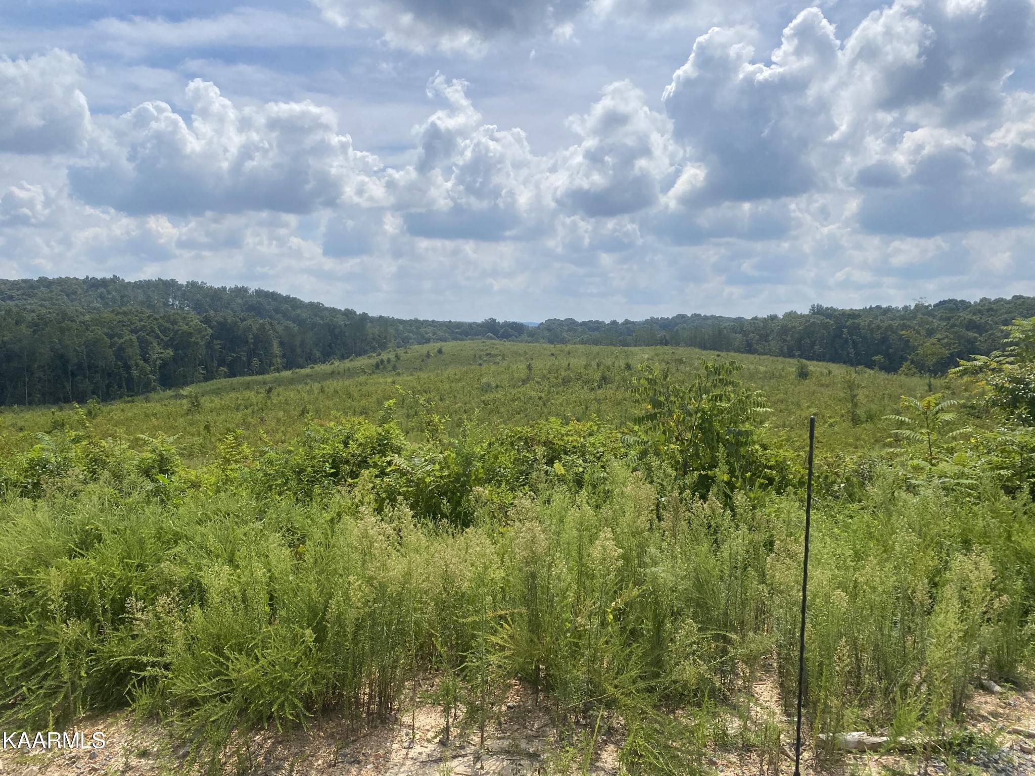 802 Arwine Road Decatur, TN 37322 - Photo 6 of 10