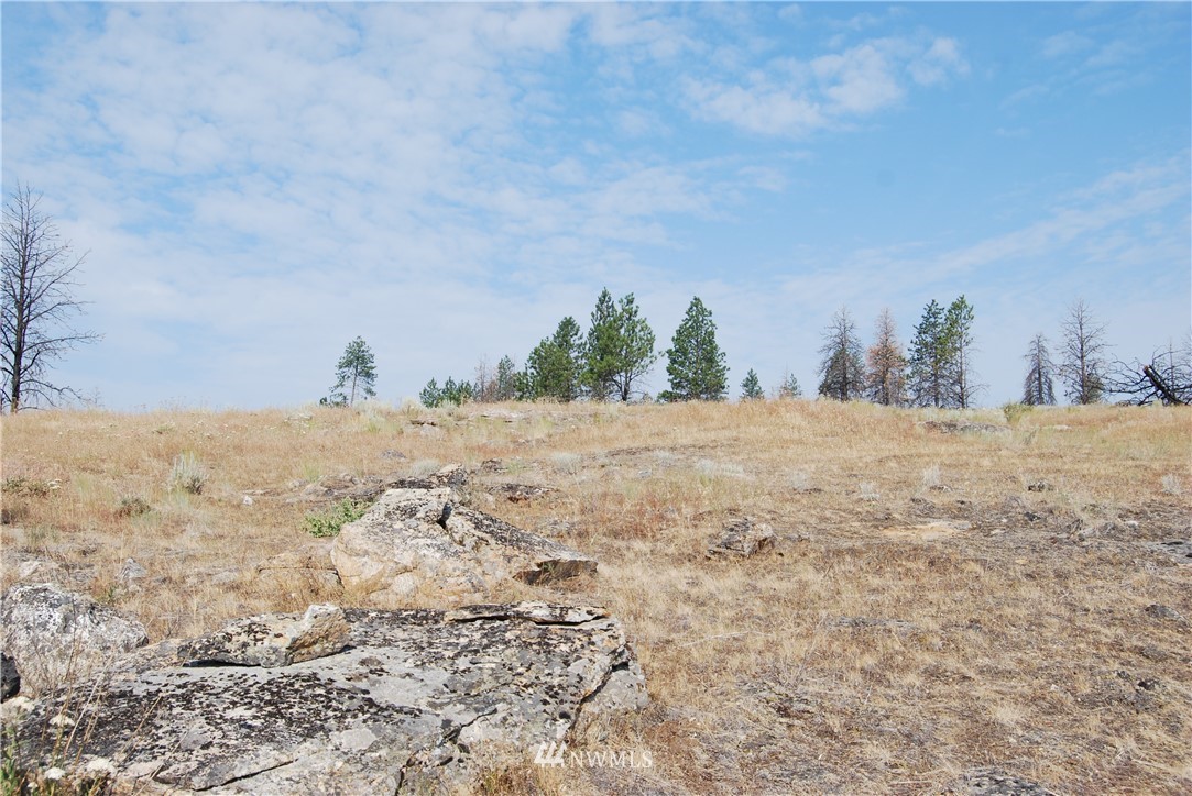 100001 Hosheit Road Riverside, WA 98849 - Photo 1 of 19 Gallery Image 1