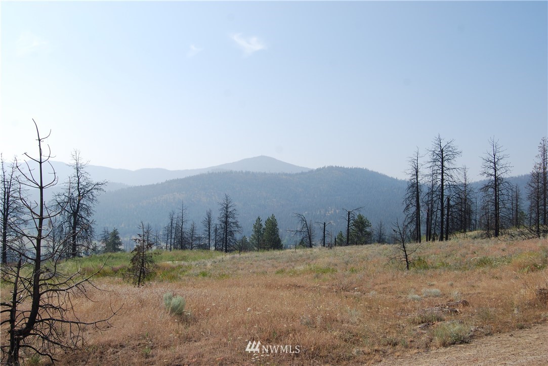 100001 Hosheit Road Riverside, WA 98849 - Photo 2 of 19 Gallery Image 2