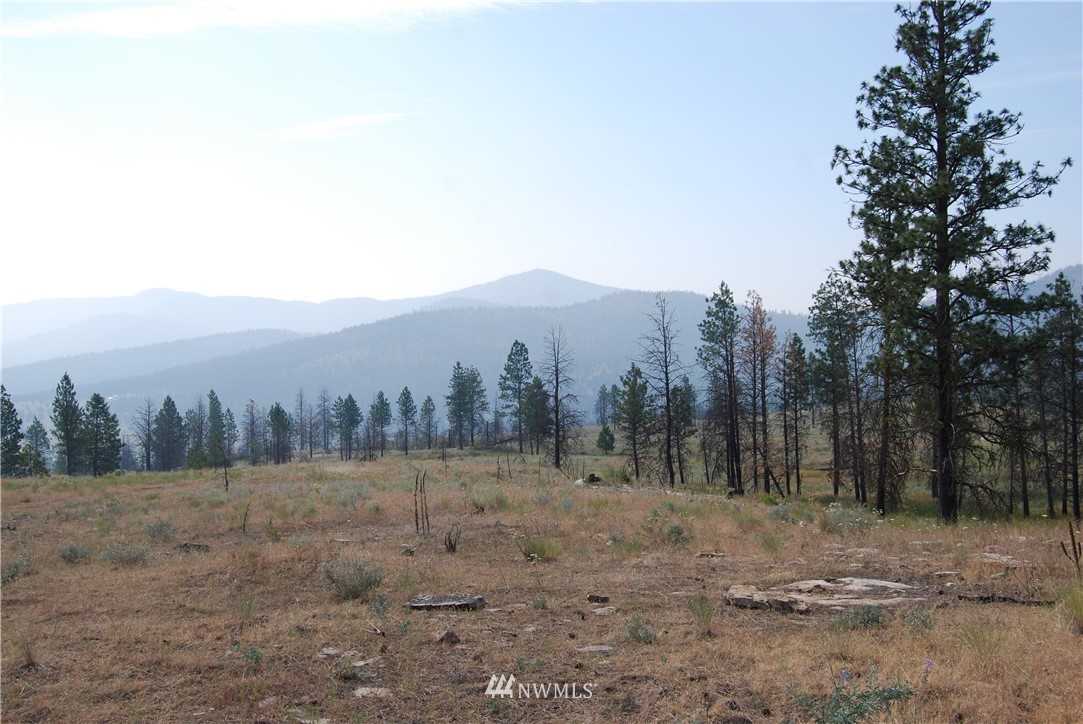 100001 Hosheit Road Riverside, WA 98849 - Photo 11 of 19 Gallery Image 11