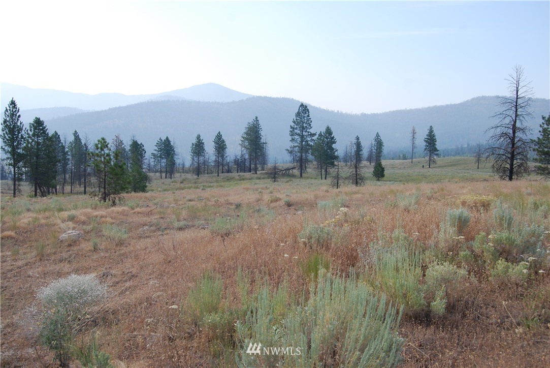 100001 Hosheit Road Riverside, WA 98849 - Photo 12 of 19 Gallery Image 12