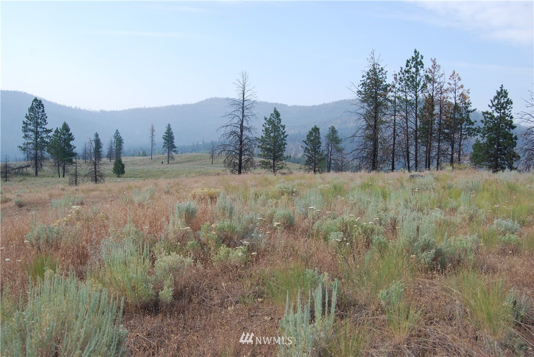 100001 Hosheit Road Riverside, WA 98849 - Photo 13 of 19 Gallery Image 13