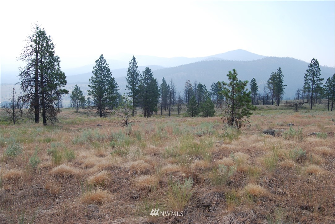 100001 Hosheit Road Riverside, WA 98849 - Photo 14 of 19 Gallery Image 14