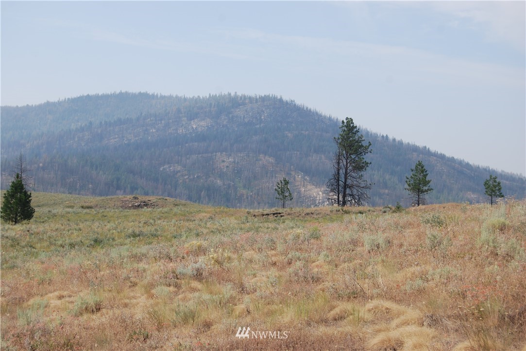 100001 Hosheit Road Riverside, WA 98849 - Photo 15 of 19 Gallery Image 15