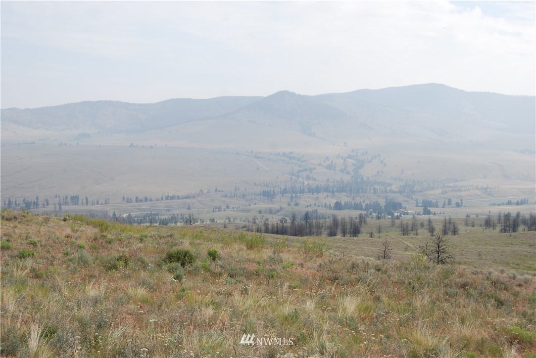 100001 Hosheit Road Riverside, WA 98849 - Photo 18 of 19 Gallery Image 18