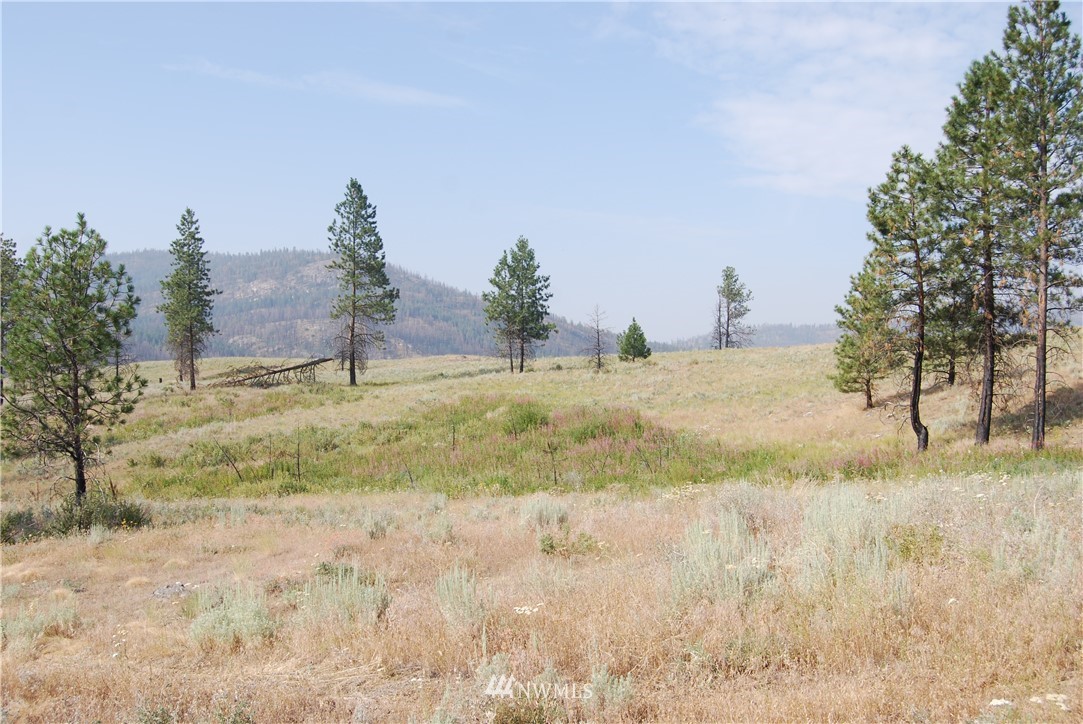 100001 Hosheit Road Riverside, WA 98849 - Photo 7 of 19 Gallery Image 7
