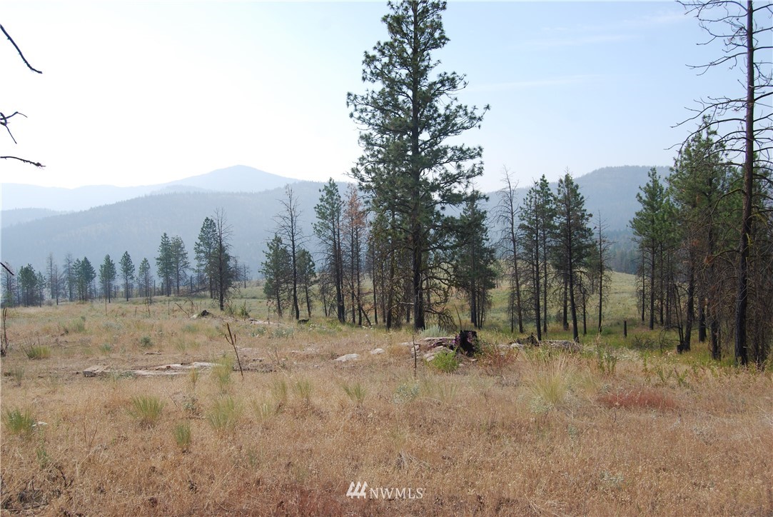 100001 Hosheit Road Riverside, WA 98849 - Photo 10 of 19 Gallery Image 10